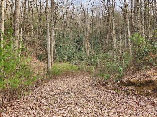0 Trillium Lane 17