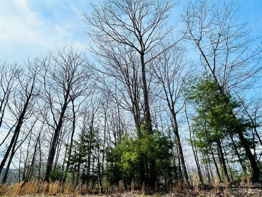 38 Chimney Crest Drive