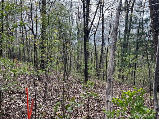 99999 Buffalo Trail 86