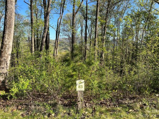 148 Wandering Oaks Way