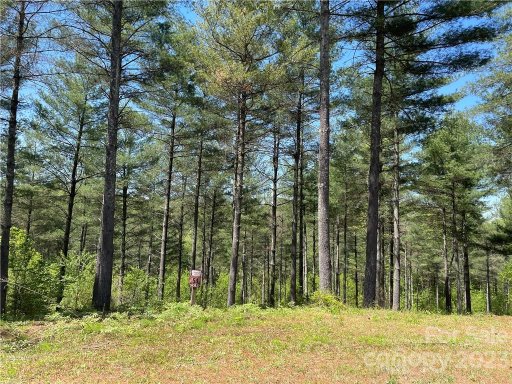 3051 Forest Ridge Road 54