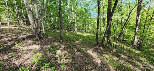 Lot 24 S Cross Creek Trail