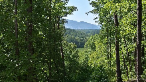 Lot 3 S Cross Creek Trail