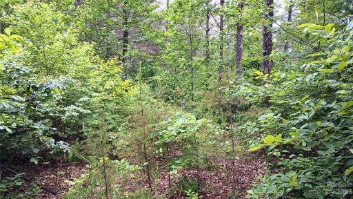 3125 Bear Paw Avenue 21