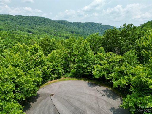 462 Feather Falls Trail 12