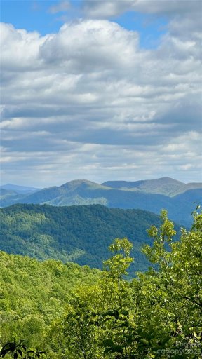 99999 Laurel Mountain Trail 12