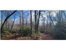 Lot 17 Deer Run