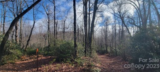 18 Deer Run