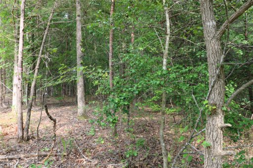 Lot 32 Whispering Pines Circle