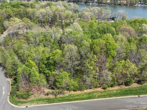 1103 Sawtooth Oak Lane