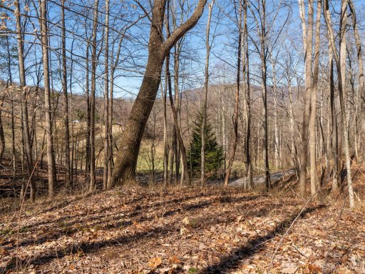 115 Lindon Cove Road 33