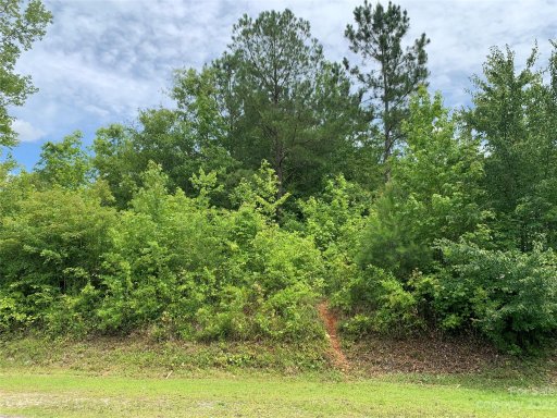 465 Rutledge Drive