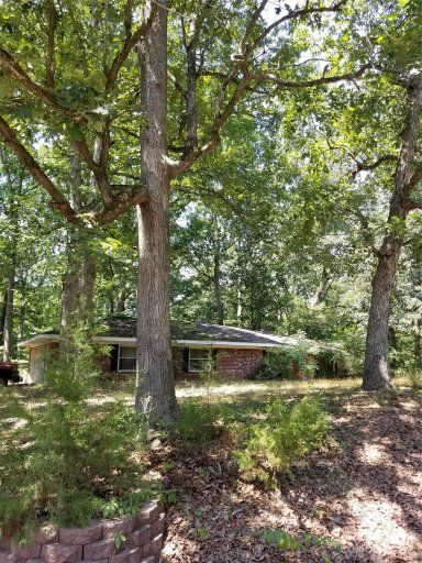 22551 Oakwood Road