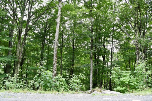 234 Wild Daisy Lane C-563