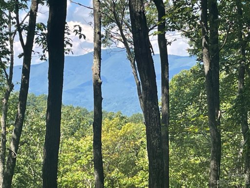 Lt 107 Boar Ridge Road