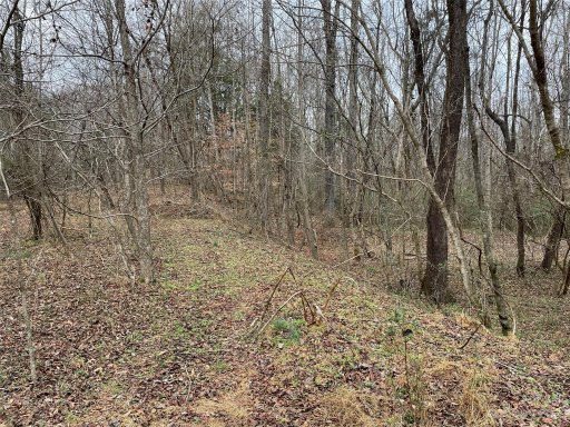 9011 Brookgreen Drive