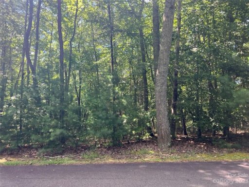 Lot 20 Settlers Trail None