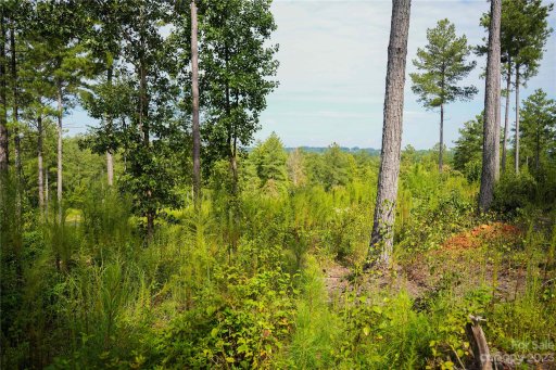 2083 Jumping Run Lot 186