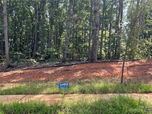 0000 Brancer Lane 16