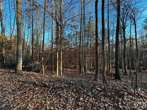 447 Hopewell Church Road