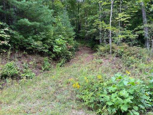 117 Green Hollow Lane