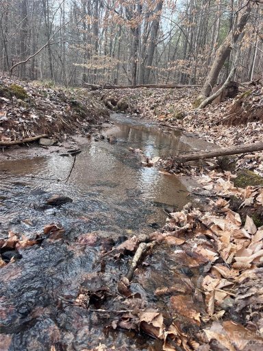 0 Clearwater Parkway 33