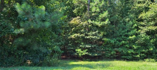 108 Blue Ridge Trail