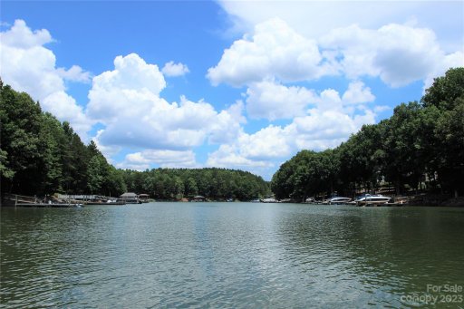 229 Wildwood Cove Drive