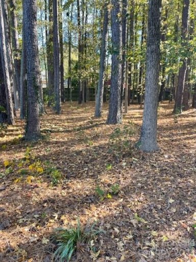 00 Post Oak Avenue 55