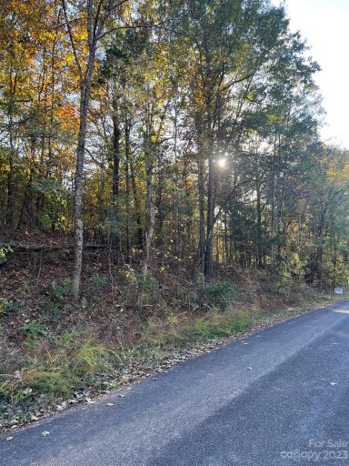 925 Silver Fox Drive