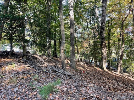 000 Deerfield Road