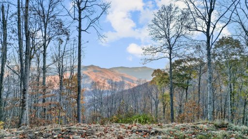 1391 Daydream Ridge 61