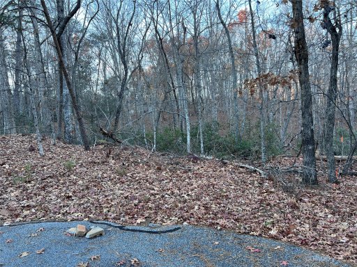 0 Rocky Mount Drive 53