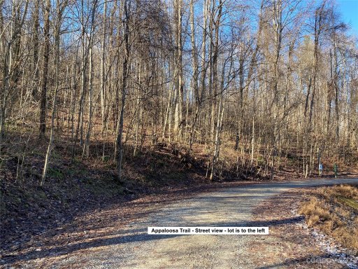 Lot 28 Appaloosa Trail