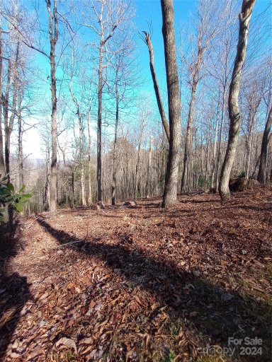 64 Corbin Mountain Road