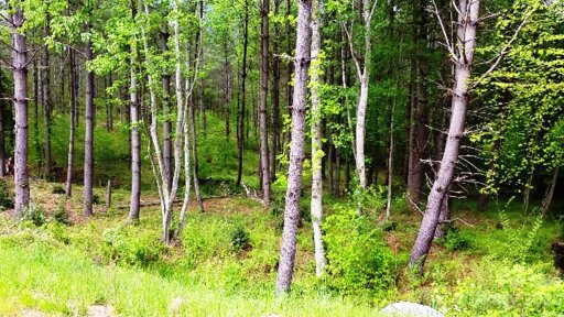 3277 Peninsula Pointe Drive 88