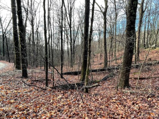 0 Hickory Acres Road 40 & 41