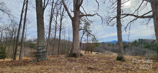 52 Sweet Fern Parkway 58