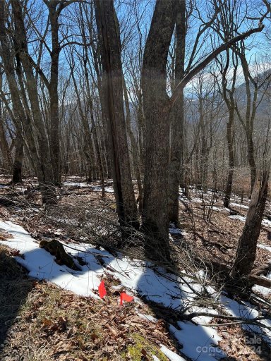 00 Tearshirt Lane 316