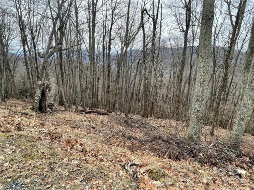 102 Flame Azalea Lane