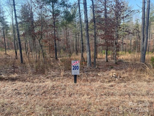 2099 Windom Peak Summit 200