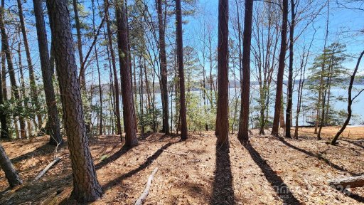 6137 Plantation Pointe Drive 10