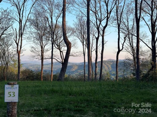 0000 Hemlock Grove Trail Lot 53