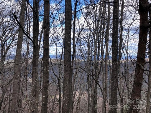 Tbd Bobcat Mountain Road 21