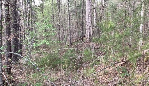 00 Settlers Trail Settlers Trail 16&17