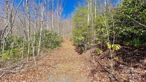 9999 Lake George Road 972/973