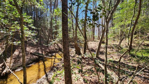5163 Hurricane Hill Road 53