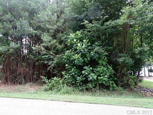 Lot 17 Shoreline Loop