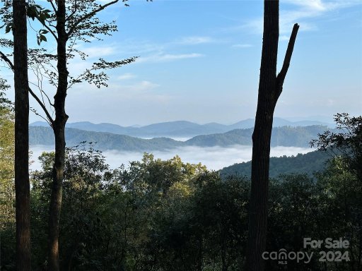 0000 Hemlock Grove Trail Lot 51