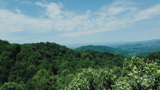 362 Glen Valley Drive 199